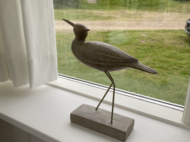En strandfugl i vinduet